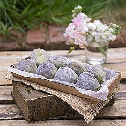 《无限试驾：太阳王冠》开发者实机 明年年初发售